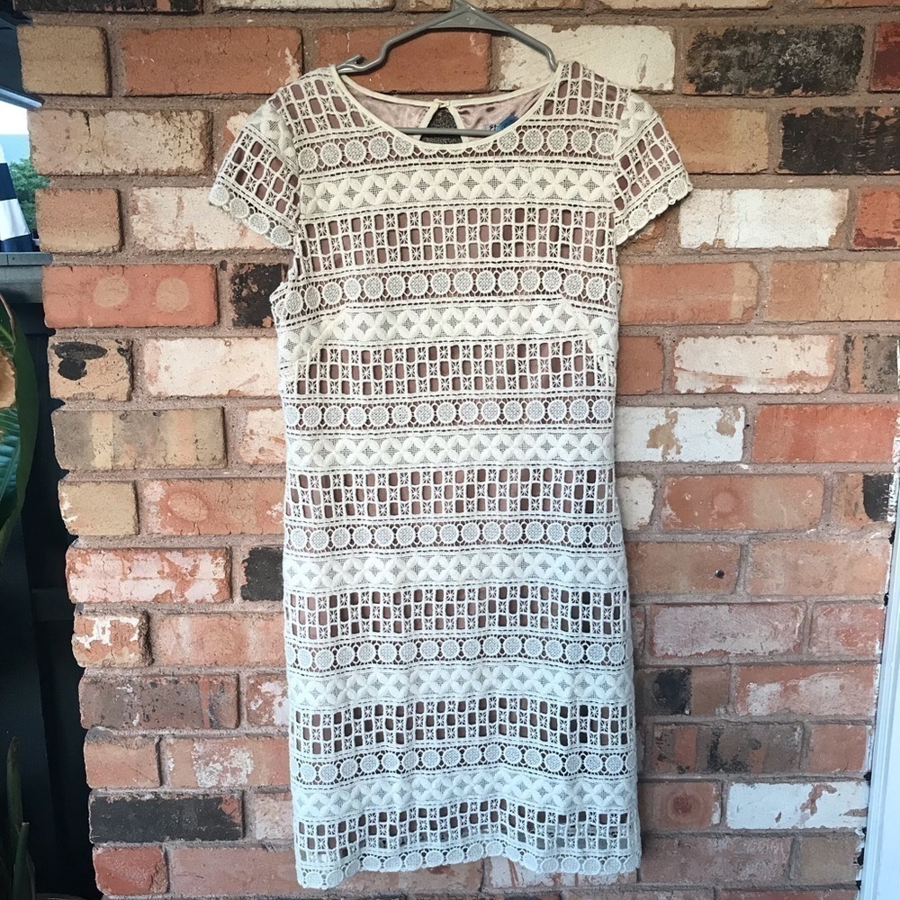 Eliza J Crochet Short Sleeve midi dress - Picture 7 of 7